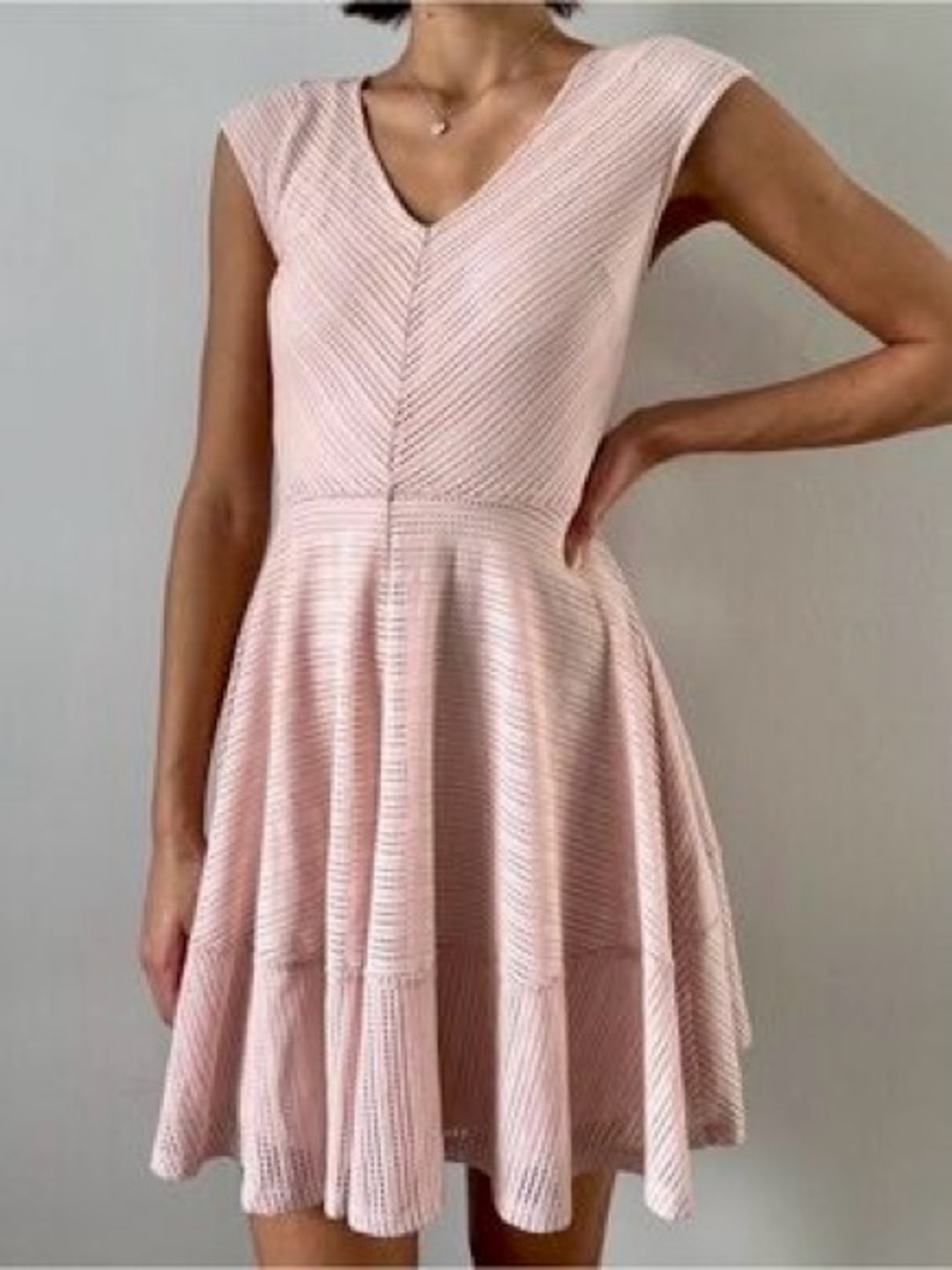 BAR III Mesh Pale Pink V-Neck Fit-and-Flare Mini Dress